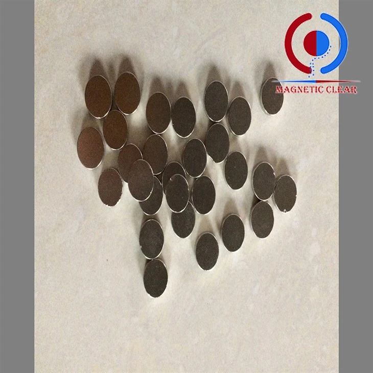 2 X 1 Neodymium segull