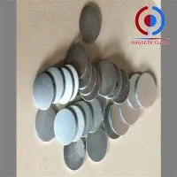 4 X 1 Neodymium segull