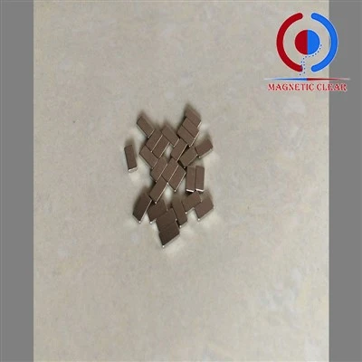 Alnico Sintered Seglar