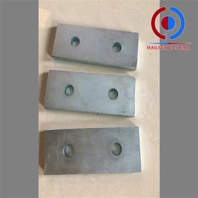 Neodymium segull 1000 kg